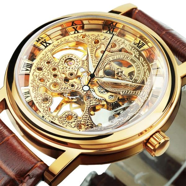 Winner Transparent Skeleton Mechanical Watches Casual Leather Strap Gold Watch for Men Luminous Hands Retro Wristwatches 251224