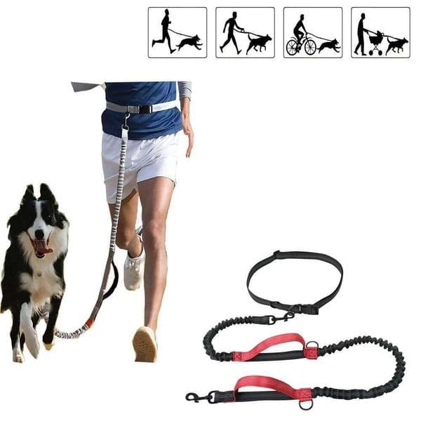 Pet Belt Reflective Retractable Hand Free Dog Leash with Adjustable Waist Rope For Outdoor Running 25N1231