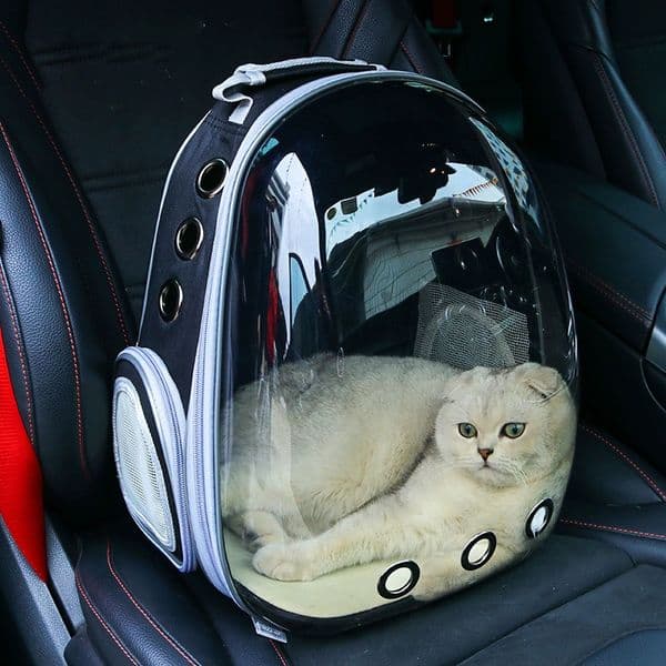 Beni Pet Breathable Transparent Shell Cat Backpack - Portable Double Shoulder Pet Carrier