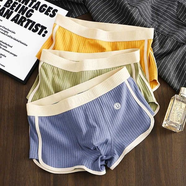3PCS/Pack 100% Cotton Solid Striped Mens Boxer Shorts Sexy Breathable Mesh U Crotch Underwear High Elastic Wide Waistband Underpants XJ250721