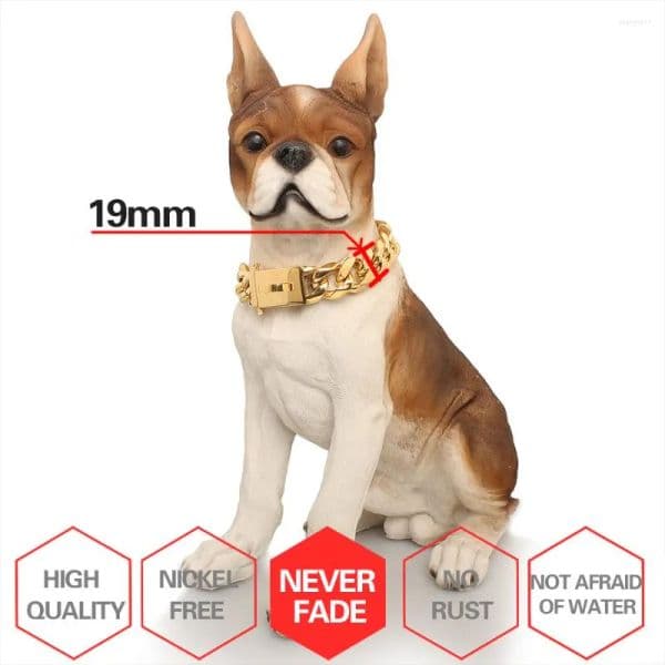 Solid Gold-Toned Stainless Steel Puppy Chain Collar Fashionable Pet Jewelry for Larger Breeds