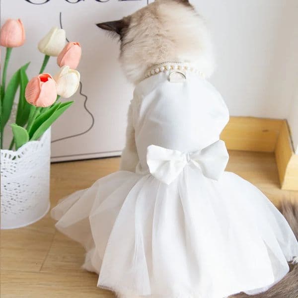 Pet Wedding Clothing Cat Spring Summer Thin White Retro Flower Dress Princess Wedding Dress Suitable for Small and Medium Dogs 250402BJ