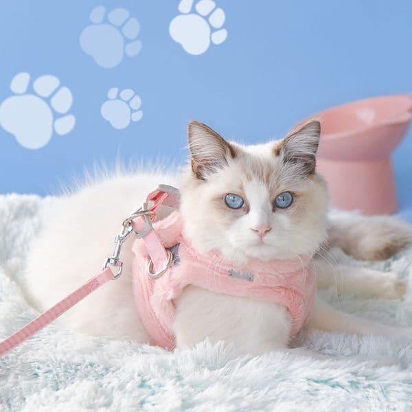Free shipping Pet Supplies Dog Collars Autumn winter new reflective pet chest back vest style with plush insulation adjustable cat leash