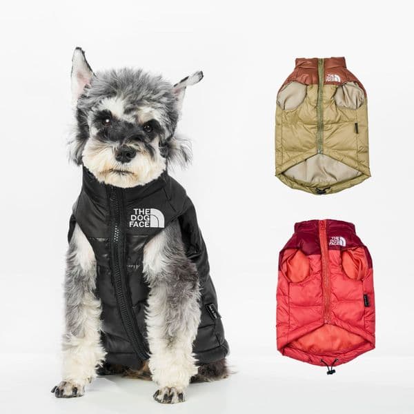 Free shipping Pet Supplies Dog Coats Jackets New Pet Down Vest for Warmth AutumnWinter Style for Dogs Shih Tzu Teddy Bear Pomeranian Corgi Cats