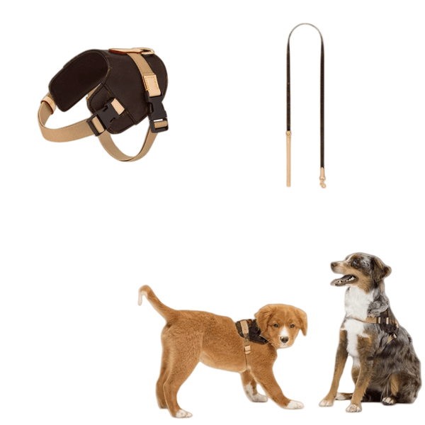 Designer Luxury Adjustable Dog Strap Comfortable No Pull Design Fashion Pet Tank Top Strap Easy to Handle Suitable Small And Medium sized Dog Harness