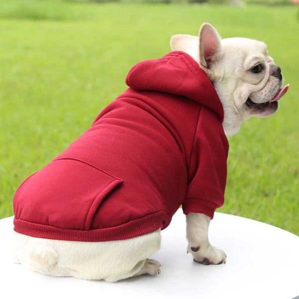 Fashion Dog Clothing Autumn And Winter Small Pet Clothes Thickening Warm Solid Color Two-Feet Hooded Wweater Casual Pet ProductsM251111