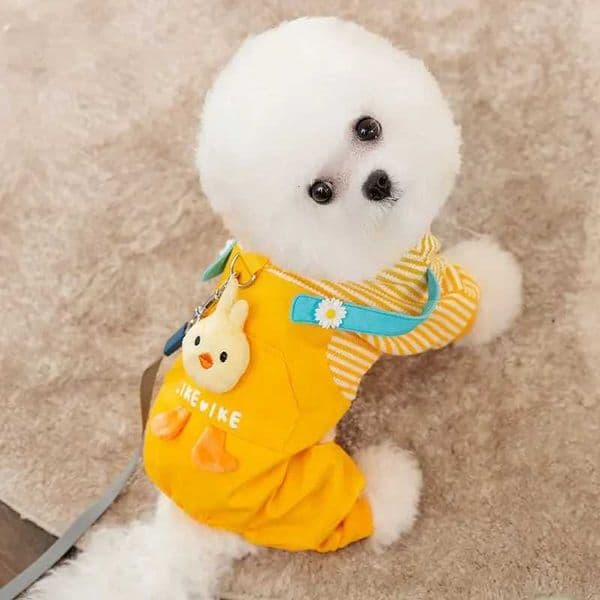 Dog Clothes Three-dimensional Chick Can Be Towed Four-legged Clothes Small Dogs Autumn and Winter Thickened Warm Pet ClothingM251111