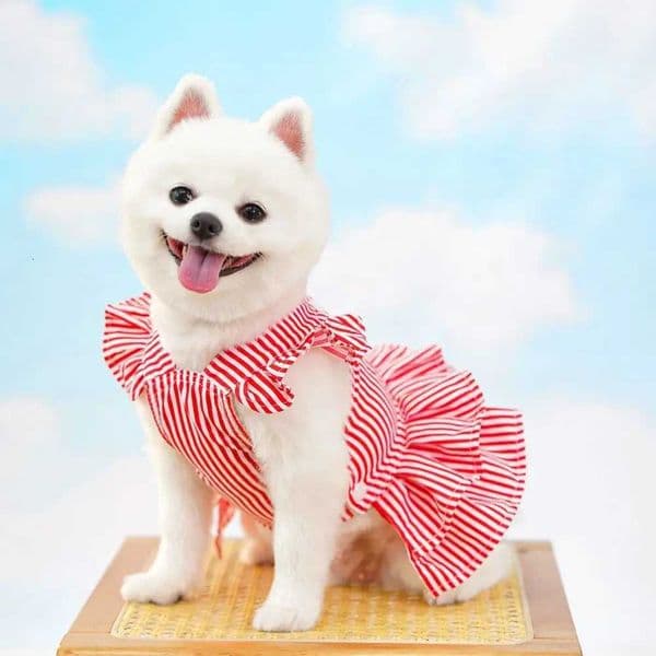 Comfortable Flying Sleeve Pet Clothes Soft Cute Dog Cool Vest Breathable Pet Dresses for Puppy CatsM251118