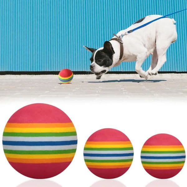 35/38/mm Rainbow EVA Cat Toys Ball Interactive Cat Dog Play Chewing Rattle Scratch EVA Ball Training Balls Pet Toys Supplies 250414BJ