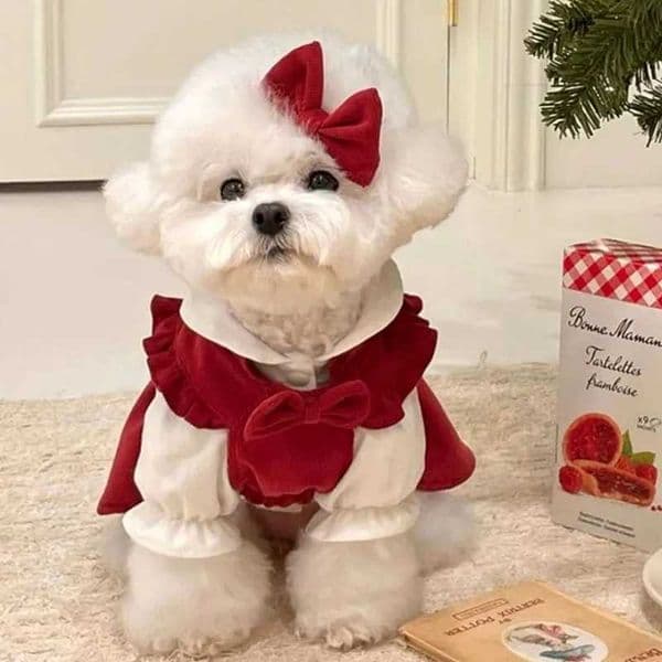 Winter Dog Dress Girls Dog Clothes Christmas Pet Dog Warm Coat Cat Skirt Chihuahua Bichon Puppy Dress and Shirt Set Dog Costume C251118