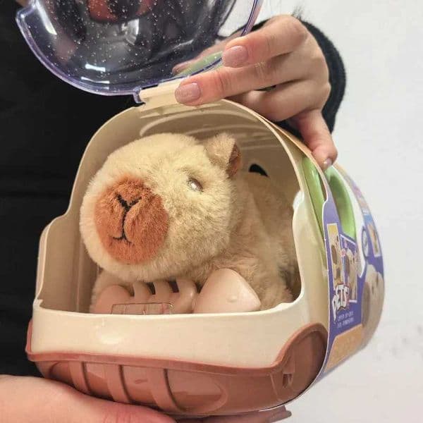 Metal Fidget Toy Walking Doll With Sound Childrens Electric Dolls Toy Animal Capybara Plush fidget cube Figure Set Random Color Edc