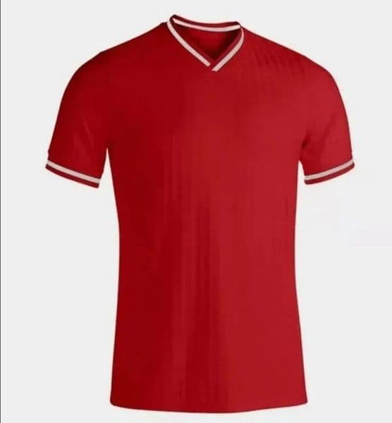 2026 World Cup Scotland Soccer Jerseys home TIERNEY ROBERTSON football shirt CHRISTIE McGREGOR McGINN McKENNA men kids kit sets High-quality