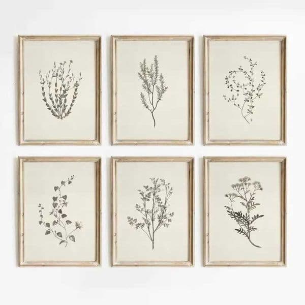 Vintage Botanical Flower Poster Print Beige Tones Floral Blossom Canvas Painting Wall Art Picture Living Room Home Decor Mural Y251126