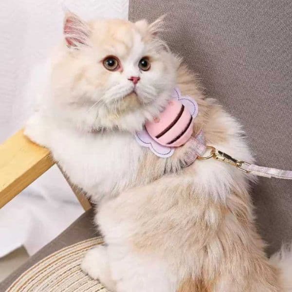 Cat Harness Collar Set Adjustable Cartoon Bee Double Layer Pet Harness for Small Medium Dog Cat Pet Collar Leash OutdoorM251126