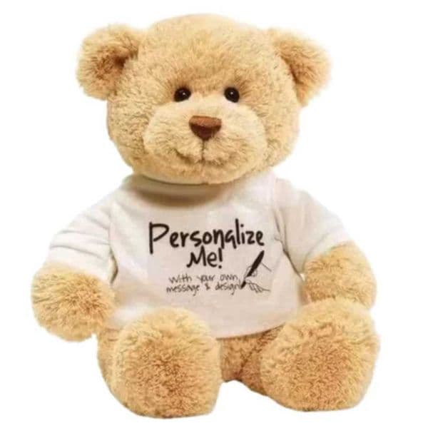 Teddy Bear DIY bear with white Blank Tshirt 11 Z250208
