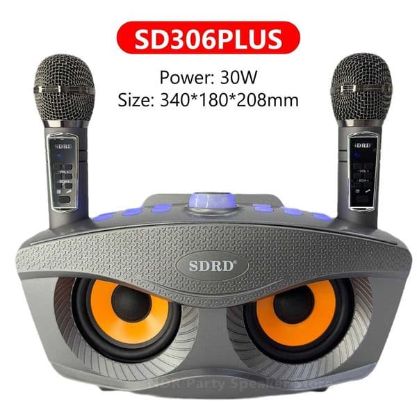 SD306Plus Professional Karaoke Machine Wireles Speaker With Dual Mic Outdoor Family KTV System 30W High-Power Portable Z250213