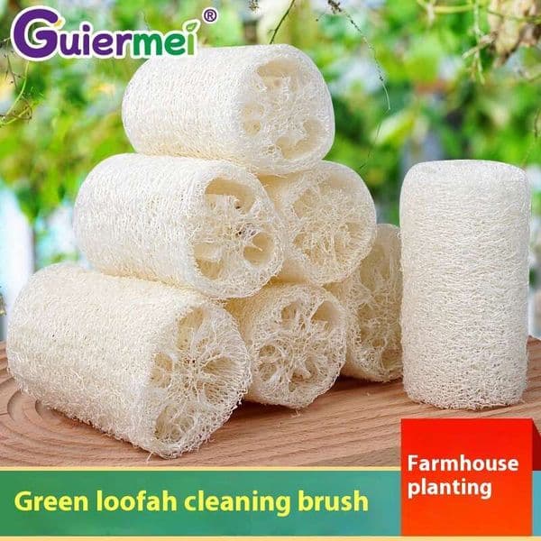 5 Pieces Natural Pot Artifact White Old Loofah Pulp Brush Bowl Non Greasy Kitchen Cleaning Dishcloth And Cloth