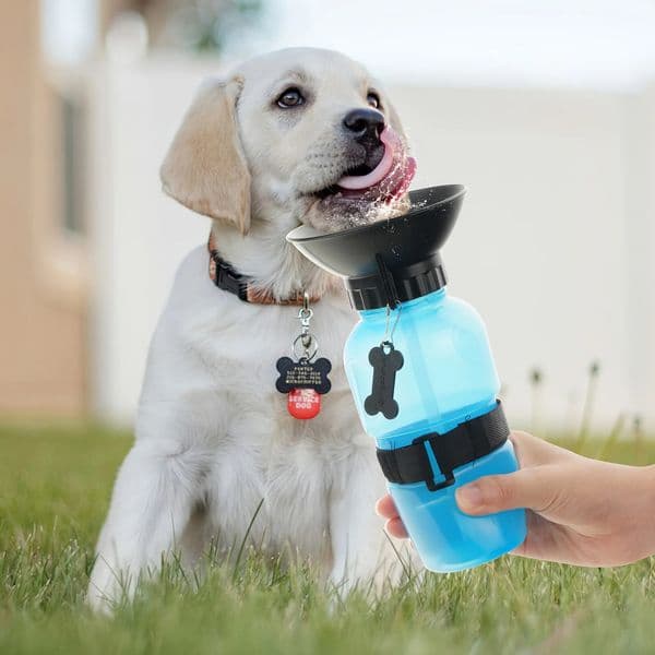 Dog Water Bottle Portable Travel Water Bottle Dispenser For Dogs - Cats Kitten Outdoor Travel Water Bottle Bowl 250604