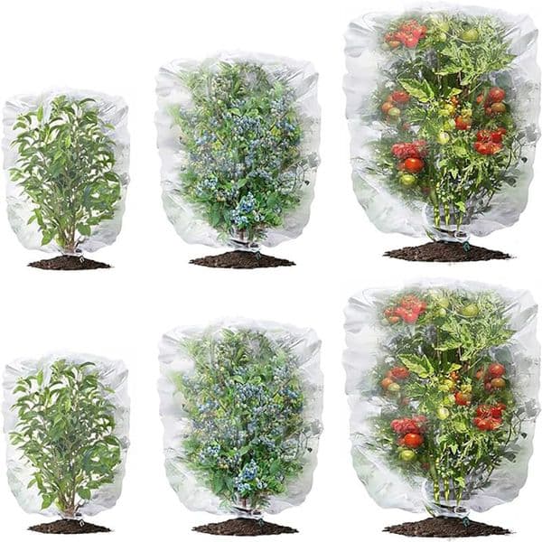 Protection Bags for Plants Cover Mesh Netting for Tree Vegetable Strawberry Grapes Pest Control Anti-Bird Protective Bag
