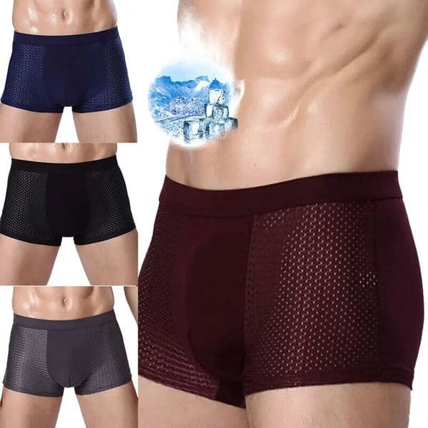 Bamboowear Bamboo Fibre Shorts Men large size Microfiber Fiber Briefs Underwear Compression Stretch plus size 250614BJ