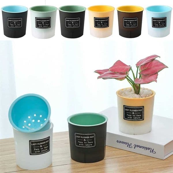 Matte Surface Hydroponic Flower Pot Plastic Material Water-saving Desktop Planter for Living Room Bedroom Study X250627