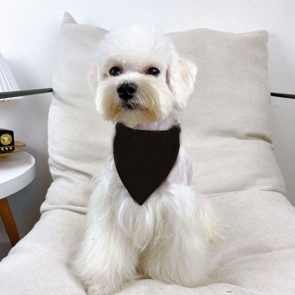 Luxury Dog Clothes Warm Dog Designer Hoodies Cats Dogs Animals Jackets with Hats Outdoor Casual Sports Pets Coats for Small Medium Large Dogs Brown 4XL A161