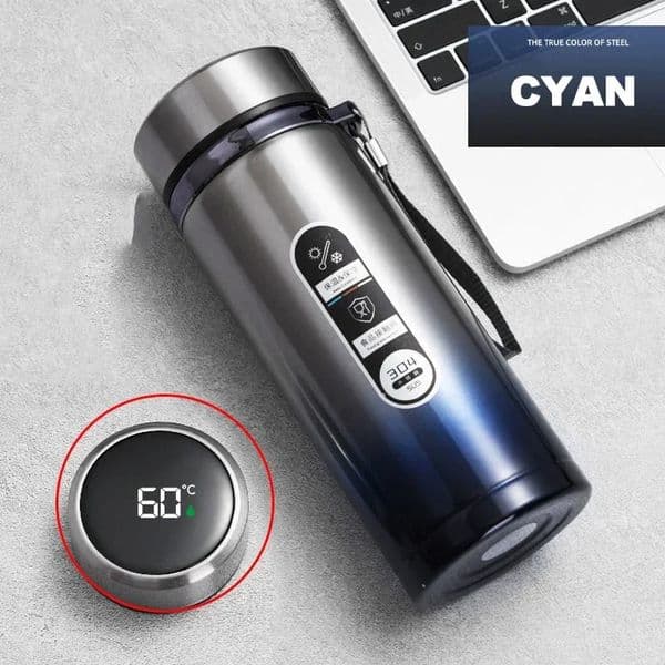 LED Temperature 500ML1Liter Stainless Steel Thermos Bottle withDisplay Sus304 Tea Water Vacuum Flask Portable Cups 251013BJ