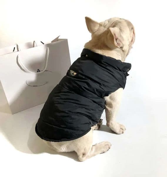 2025 new Winter Dog Coat with Hood, Warm Windproof Puppy Jacket for Small, Medium, and Large Dogs