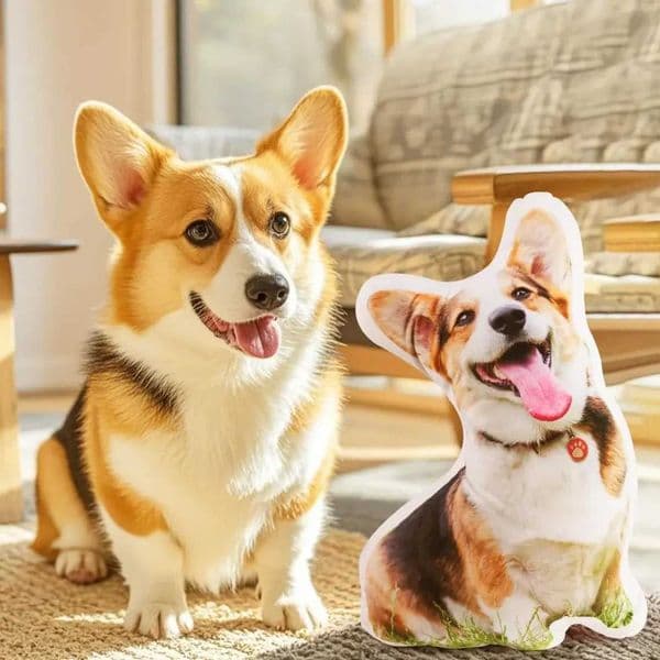 Customised humorous abstract personalised pet photo cushions DIY throw cushions for home dcor X251021