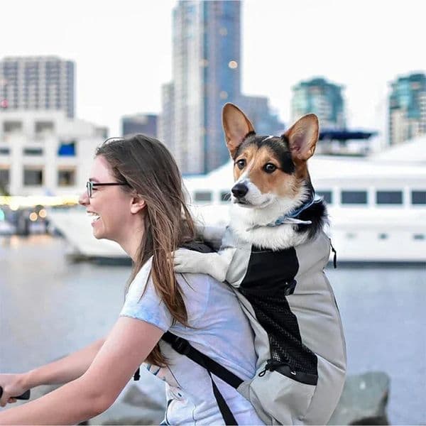 Strong Nylon Dog Backpack for Small Medium Dogs High Quality Breathable Cycling Backpack for Outdoor Travel Pet Supplies 251030