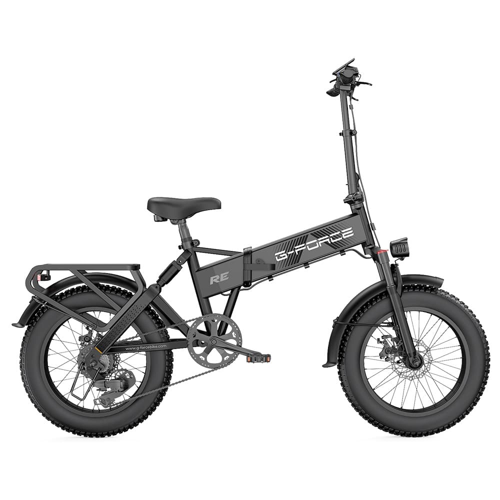 G-FORCE RE Elektrofahrrad 250W 48V 20AH Schwarz