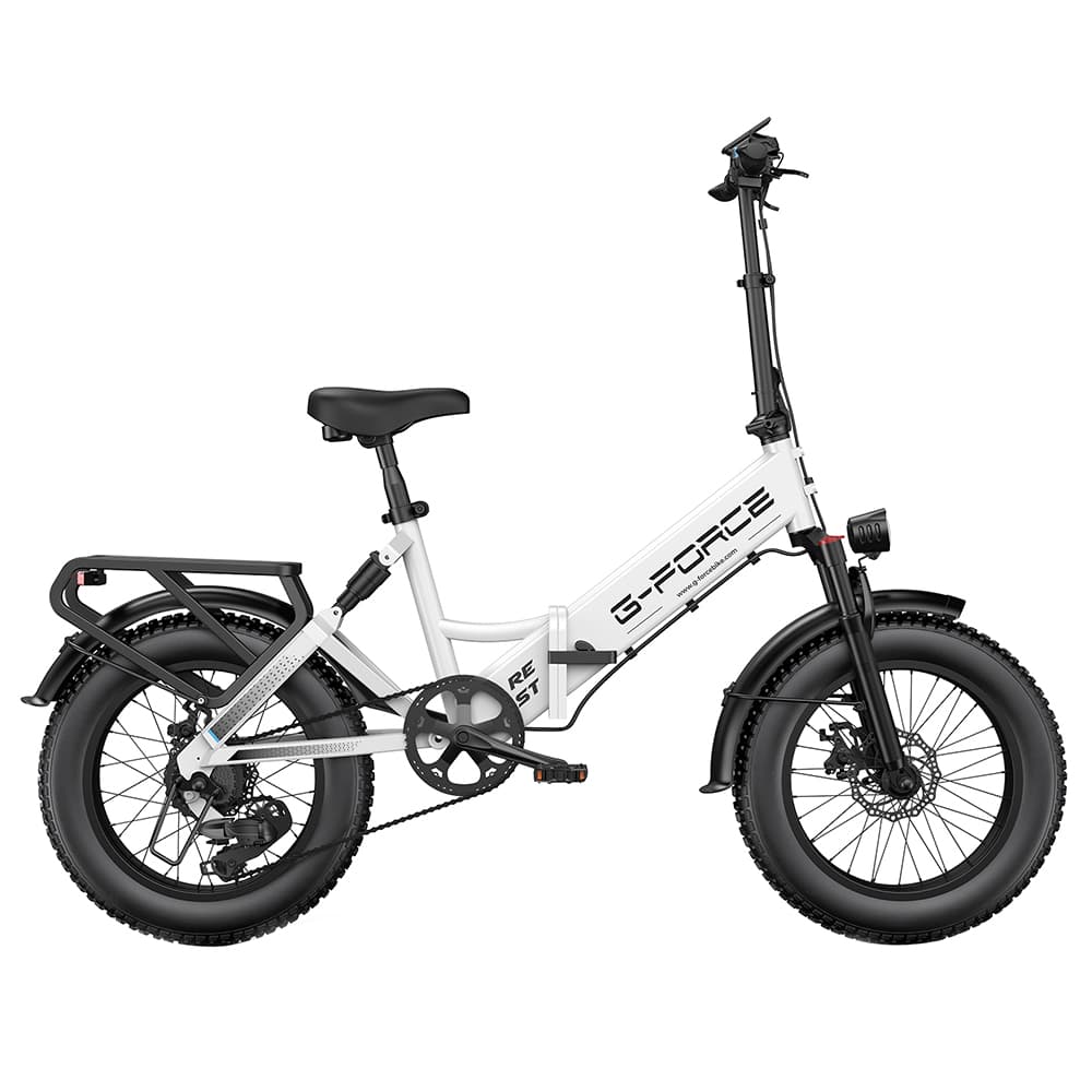 G-FORCE RE ST Elektrofahrrad 250W 48V 20AH Weiß