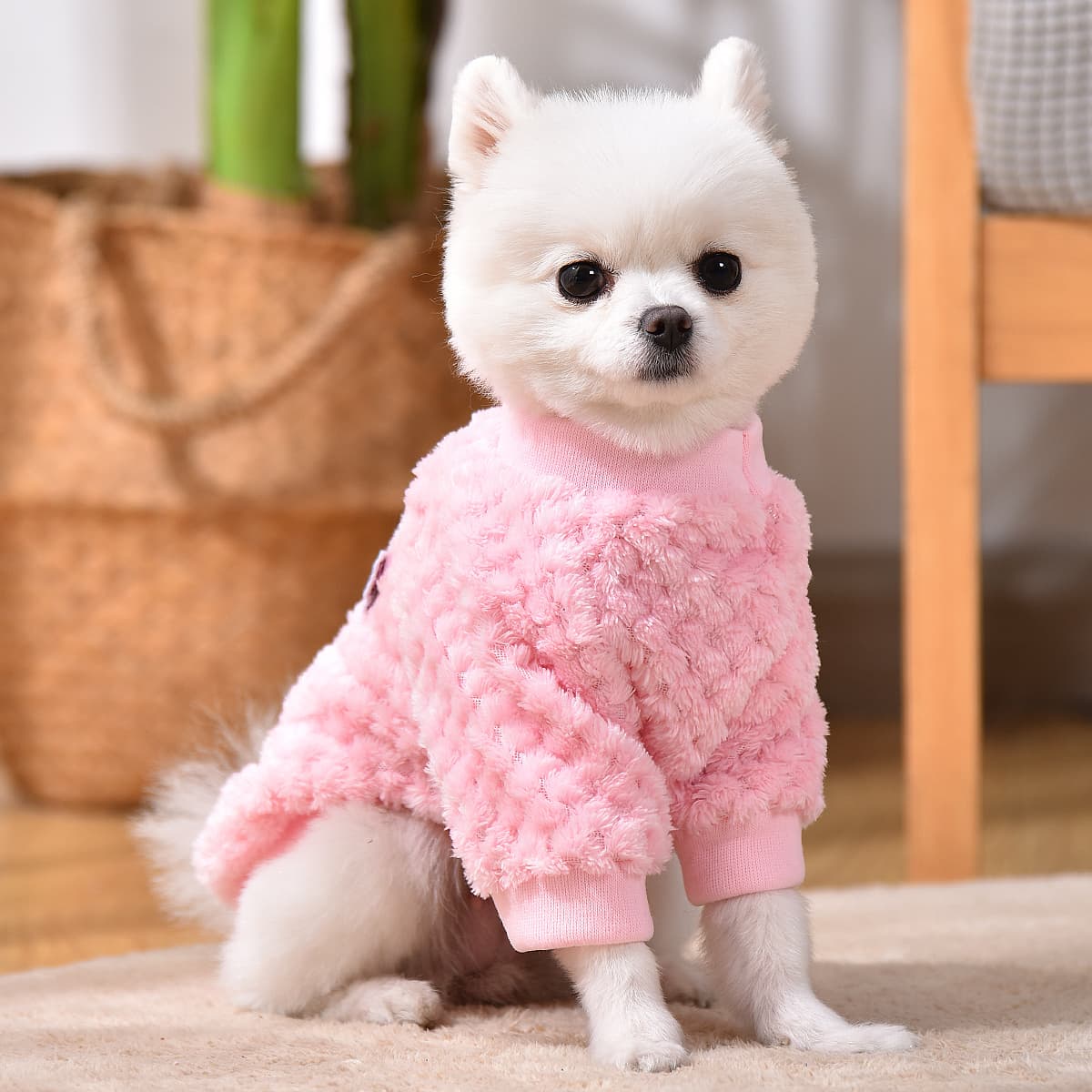 TEMU Toy And Small Dog Puppy Cute Fluffy Jumper With Chirwa Embroidery Christmas Gift
