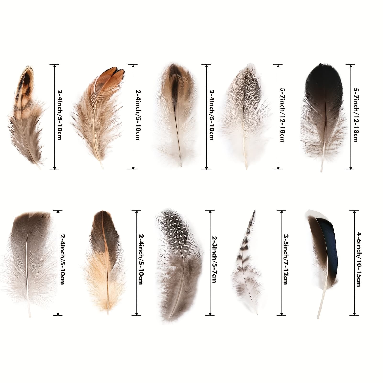 TEMU 300pcs Feathers - 10 Styles Mixed Spotted Decorative Feathers For Crafts Clothing Jewelry Hair Decoration