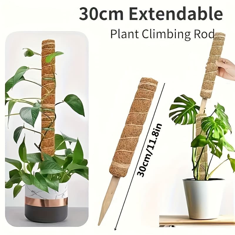 TEMU 2pcs Pvc Plant Support Rods For Climbing Plants, Climbing Pole, Garden Plant Fixing Frame, Sturdy Pvc Plant Cage Supports For Indoor And Outdoor Use