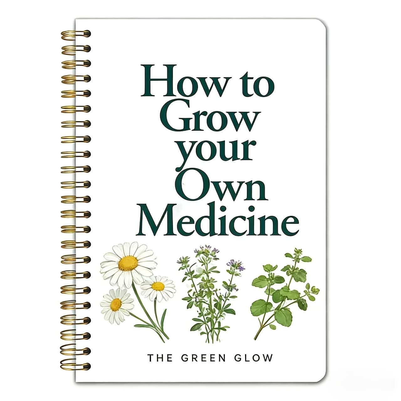 TEMU Book Notebook: 30 Medicinal Profiles With Color-coded Plant Guide Suitable For Herbal Relax Reference, Medicine Journal & Planner For,, Office Use - Compact Plant Encyclopedia Planner Pages