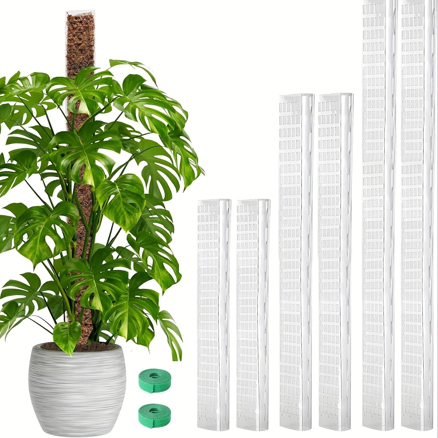 TEMU 6 Pack 24" X2 + 36" X2 + 48" X2 Plastic Moss Pole For Monstera, Large D Shaped Poles For Climbing Plants Work With Sphagnum Moss, 210 Inch Total