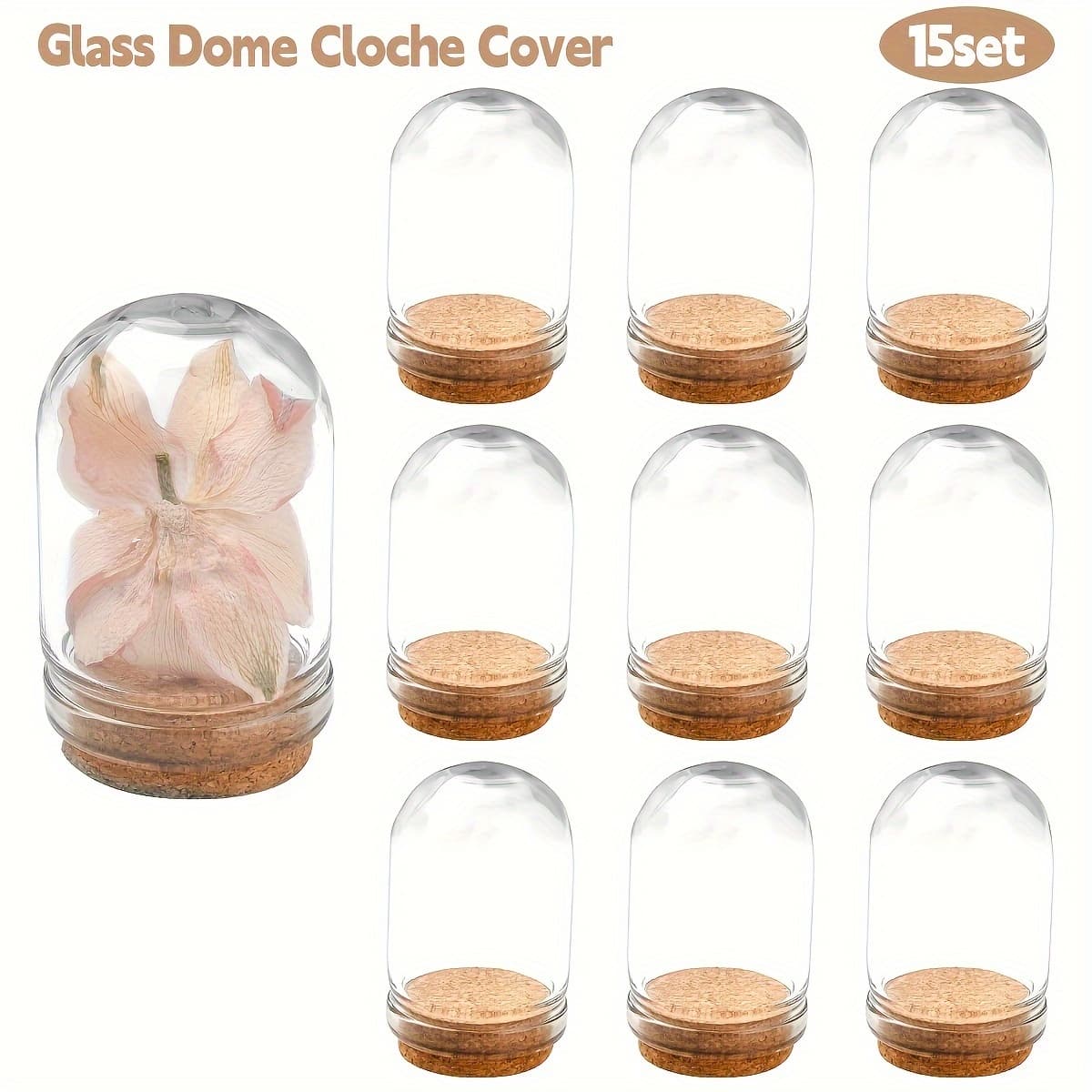 TEMU 15 Transparent Glass Jars With Cork Bases, Mini Storage Jars, Small Bottles For Dried Flower Display, Party Favors, Diy Crafts