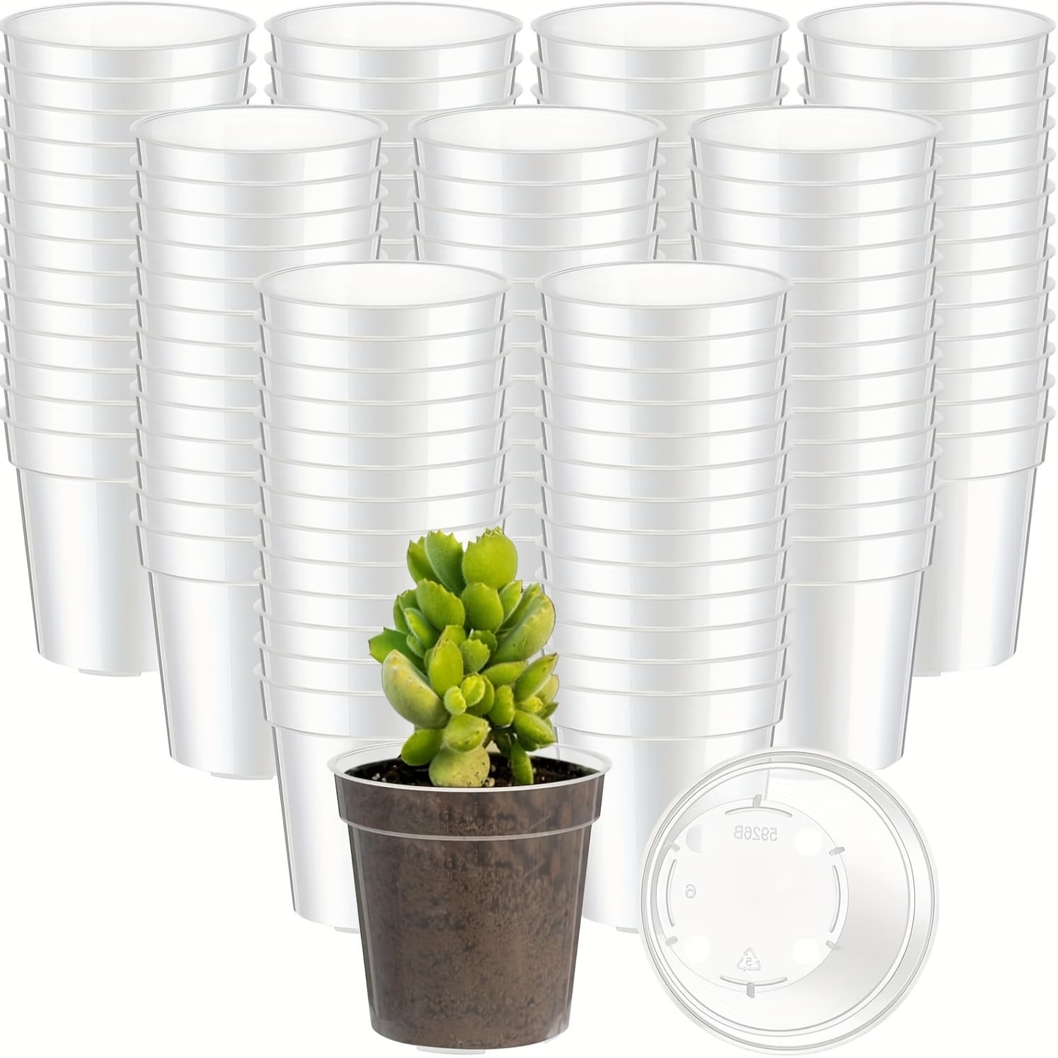 TEMU 200pcs 2 Inch Clear Mini Plastic Plant Pot Nursery Seedling Pots Seed Starter With Drainage Holes For Indoor Outdoor Garden Succulent Plants Transplanting Gardening Gift Home Decor
