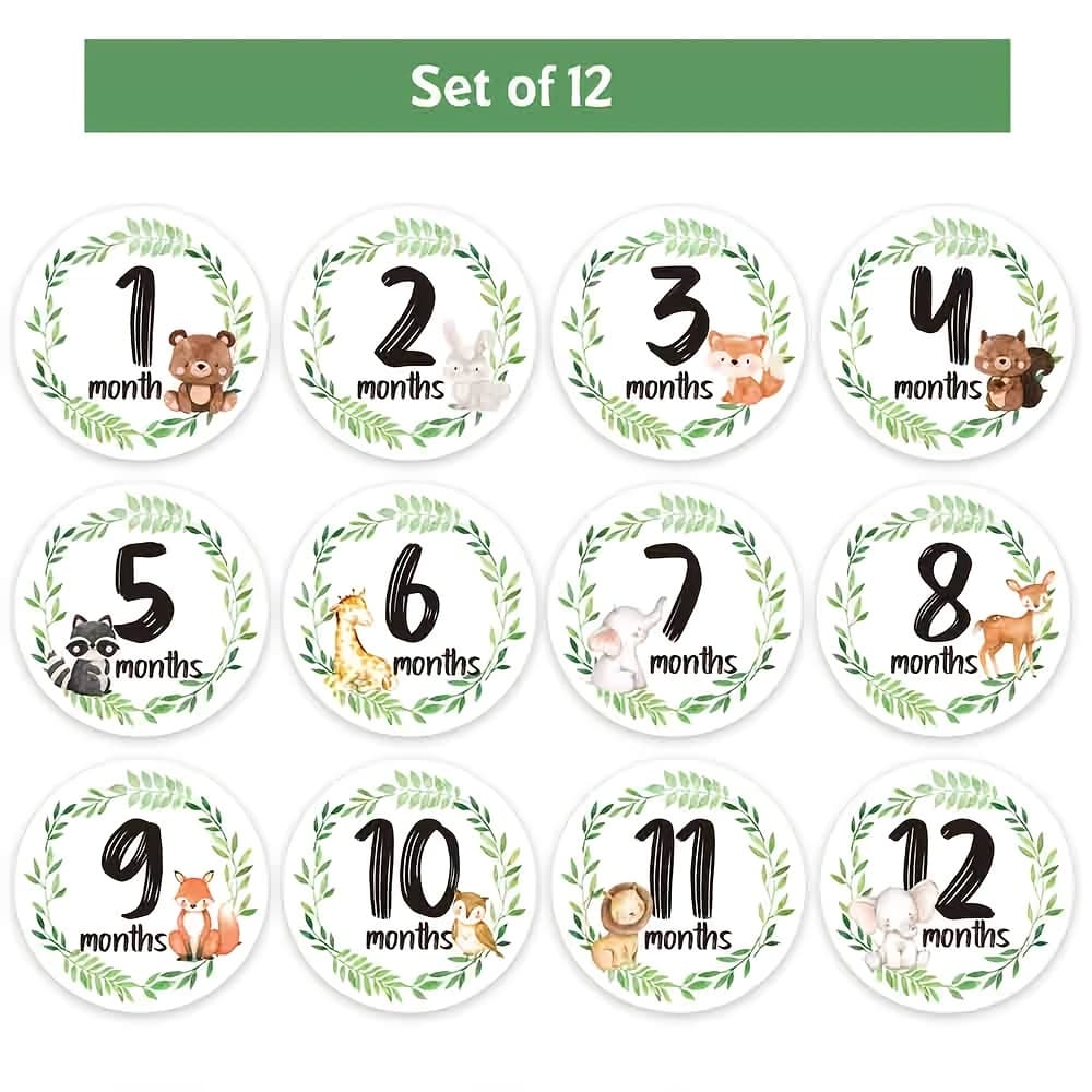 TEMU Milestone Stickers, Record Stickers, Photography Props Growth Cards Pregnancy Journey Milestone Markers