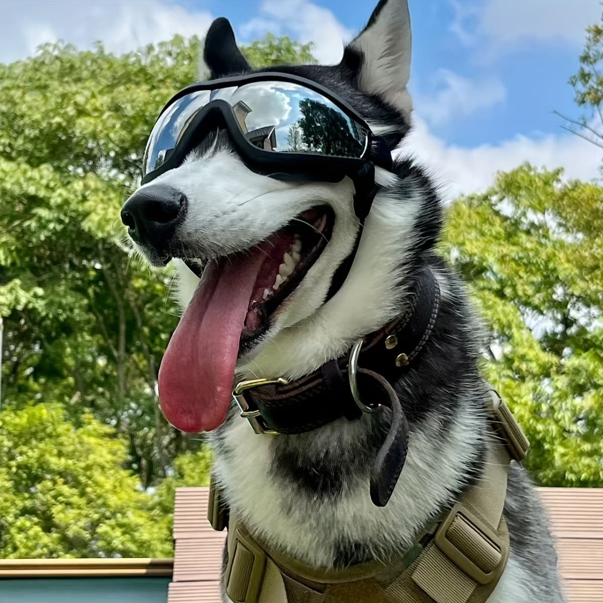 TEMU 1pc-fashion Reflective Lenses Pet Dog Sunglasses, Windproof Dustproof Pet Goggles, Adjustable Elastic Shoulder Straps, Stylish Black Frame, Very Suitable For , Running, Pet Facial Additions
