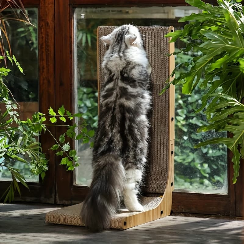 TEMU L-shaped Scratching Board For Cats, Wall Furniture And Serve As Indoor Toys For . This Durable Scratching Surface Features Texture, Area For Pets. Its L-shaped Design Ensures