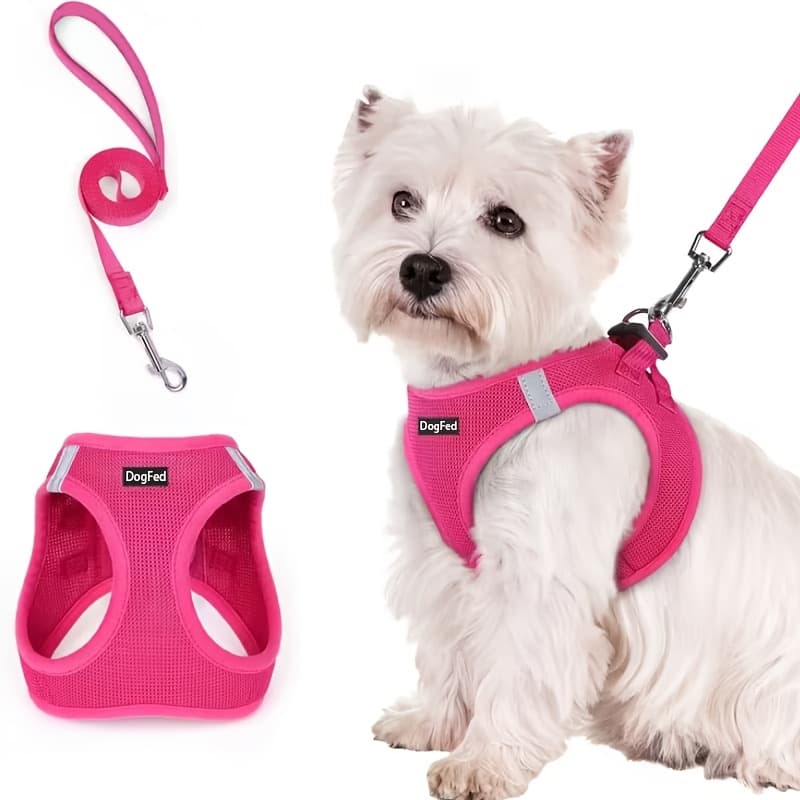 TEMU Walk-in Dog Harness And Leash Set, Breathable Mesh, Reflective, Soft And Lightweight Pet Vest, Suitable For Small Dogs And Puppies