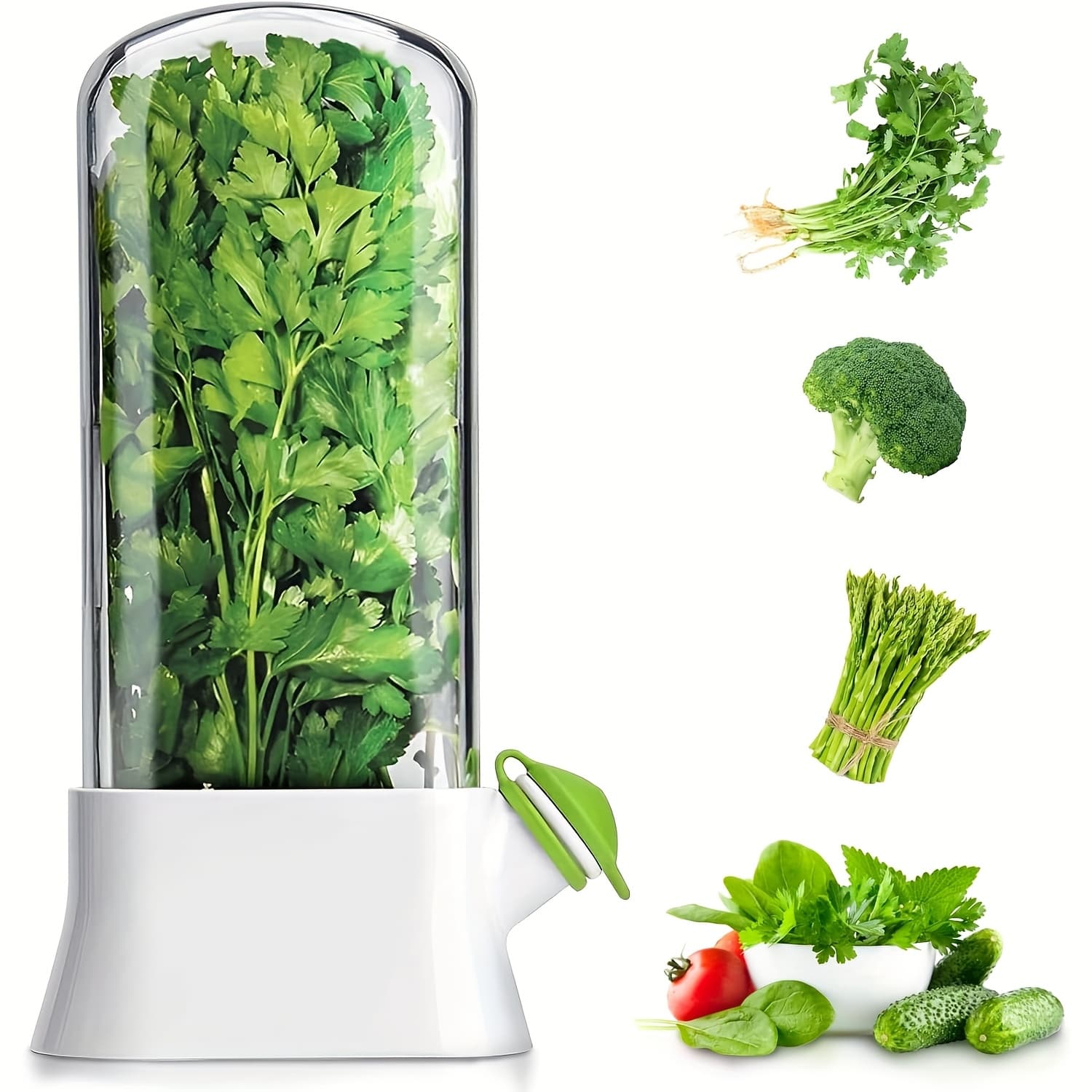 TEMU Refrigerator Storage - Top-quality Preserver, Freshness Of , Storage For Extending Freshness Of Herbs, Durable And User-friendly