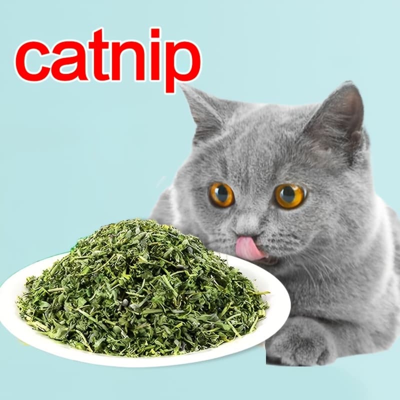 TEMU 100g , Blend For & Exciting Cats, Treats For Playtime, Training, Interactive Cat Toys With -infused Toys