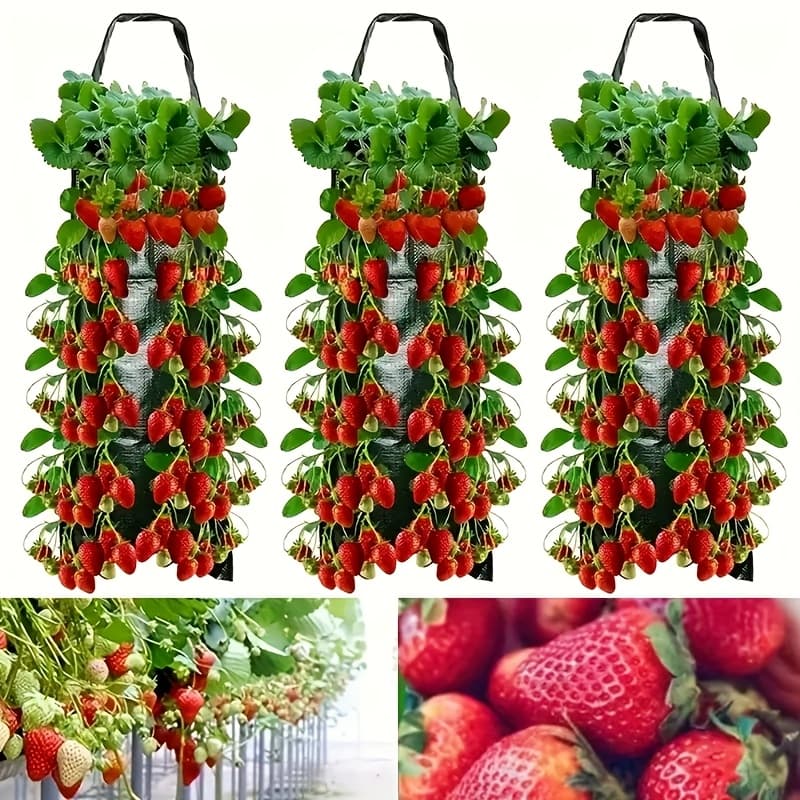 TEMU Your Planting Experience! Here Comes -piece Set Of Premium Hanging Strawberry Planting Bags. With An 8-hole Design, Suitable For All Kinds Of Vegetables.