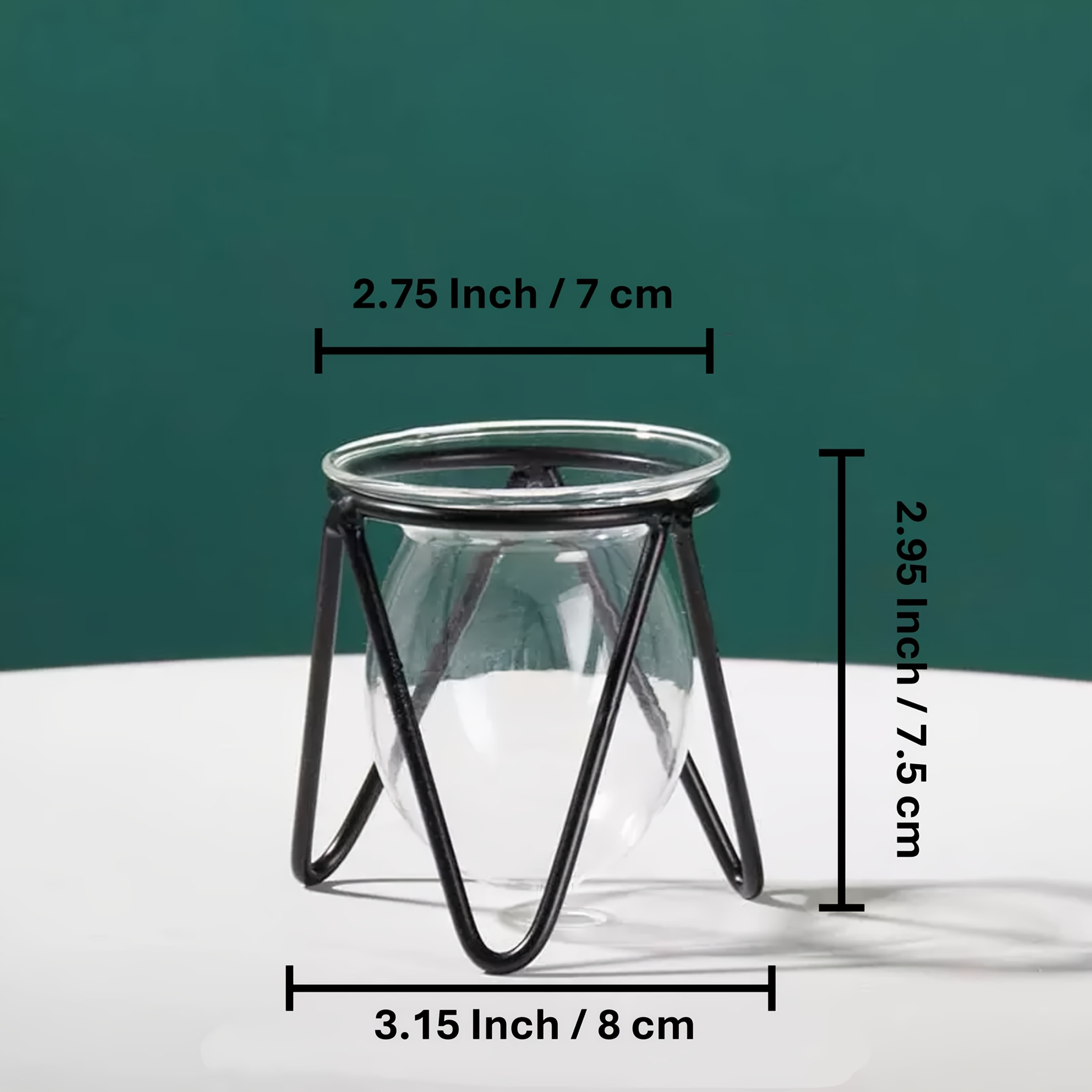 TEMU Elegant Hydroponic Plant Vase With Golden Metal Stand - Modern , Round Glass For Home, Office & Garden Decor