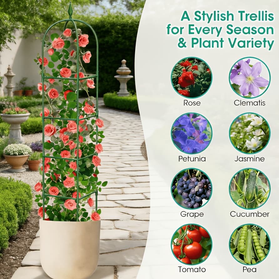 TEMU 2pack Trellis For Climbing Plants Outdoor, 70.87in Garden Obelisk Trellis, Tall Rustproof Plant Support For Jasmine Support Outdoor Indoor