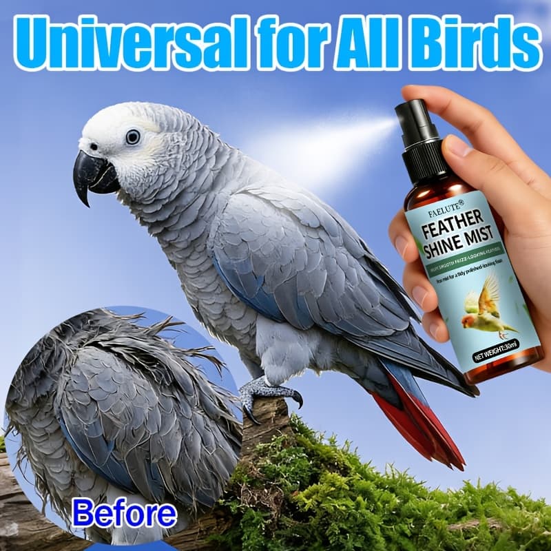 TEMU Faelute Premium - Waterless Detangler And Softener, Gloss Booster For Parrot/parakeet/cockatiel/canary, Chemical-free, Reduces Breakage And Shedding, Daily Use For Y Feathers
