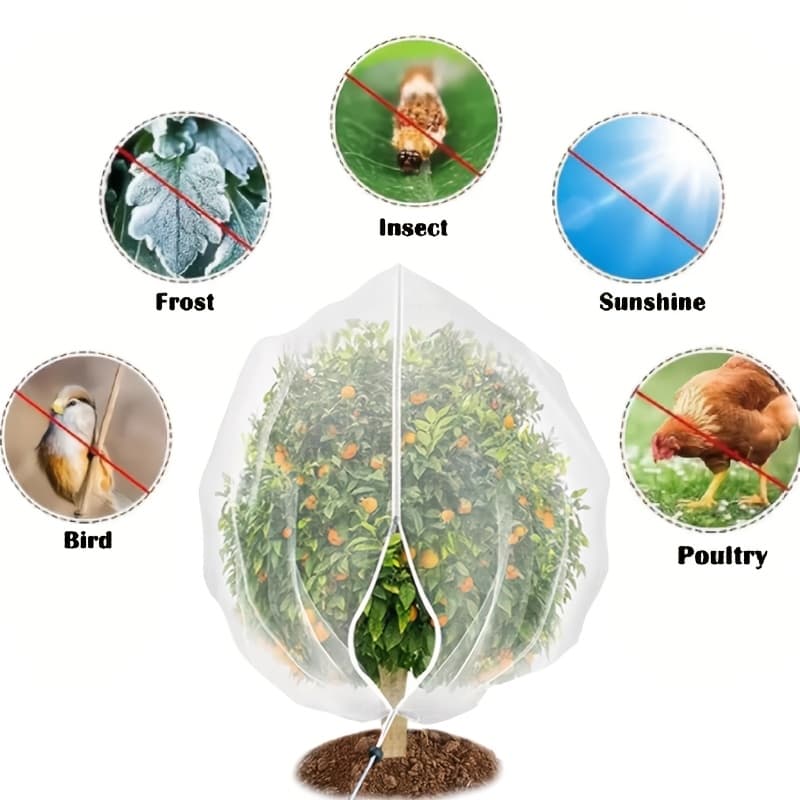 TEMU Small/large Fruit Tree Protection Net, Prevents Damage From Birds/insects/bees/cicadas - Durable Pe Cover, Suitable For Cherry, , Blueberry, Tomato, And Other Plants